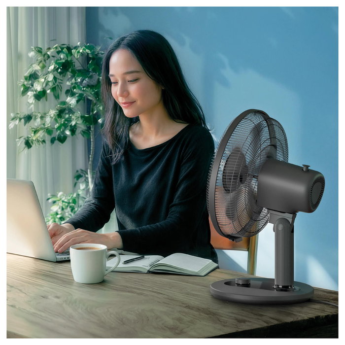 Philips CX1030/01 Ventilador de sobremesa 1000 Series