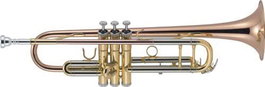 Trompeta J. Michael Tr450 En Si Bemol