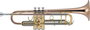Trompeta J. Michael Tr450 En Si Bemol