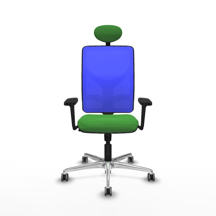 PIQUERAS Y CRESPO Silla de oficina Motilla con mecanismo Sincro, Tela Verde y Malla Azul PIQUERAS Y CRESPO Silla de oficina Motilla con mecanismo Sincro, Tela Verde y Malla Azul
