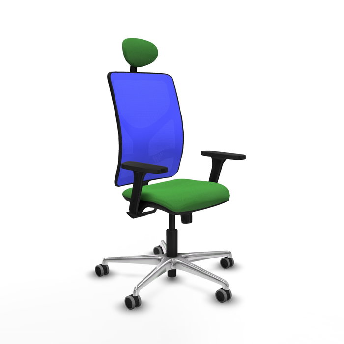 PIQUERAS Y CRESPO Silla de oficina Motilla con mecanismo Sincro, Tela Verde y Malla Azul PIQUERAS Y CRESPO Silla de oficina Motilla con mecanismo Sincro, Tela Verde y Malla Azul