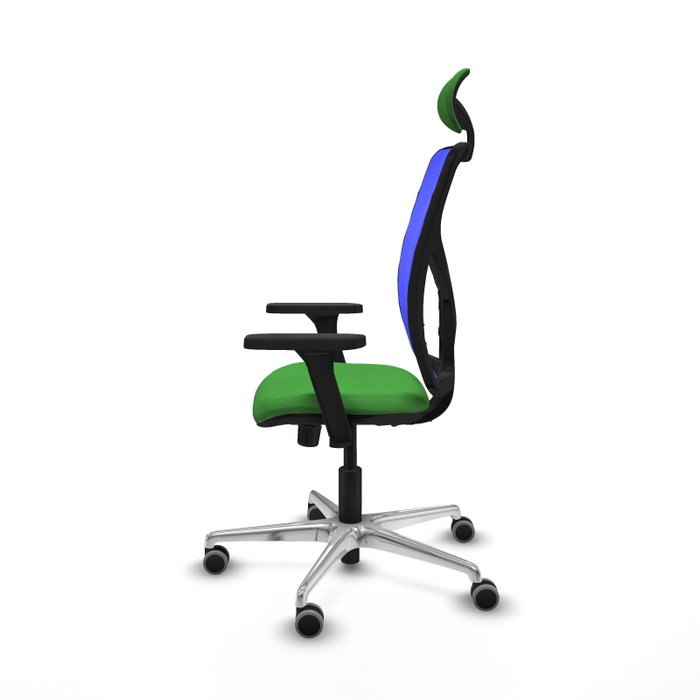 PIQUERAS Y CRESPO Silla de oficina Motilla con mecanismo Sincro, Tela Verde y Malla Azul PIQUERAS Y CRESPO Silla de oficina Motilla con mecanismo Sincro, Tela Verde y Malla Azul