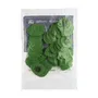 Dunlop 72 Púas Tortex S Verde - 0,88 Mm (Pack)