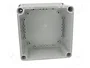 FIBOX SOLID Carcasa Universal Gris ABS