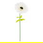 Flor Gerbera Blanco Artificial 60 X 60 X 150 cm