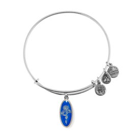 Alex And Ani Pulsera Aster Acabado Envejecido Gris