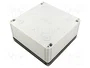 SPELSBERG TK PC 1818-9-TO Carcasa Universal de Policarbonato Gris