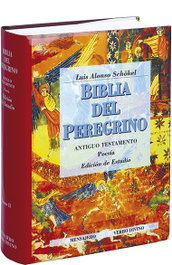VERBO DIVINO II.Biblia Peregrino: Edicion Estudio