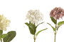 DKD Home Decor Flores de Hortensia Plásticas Surtidas 23x23x65 cm