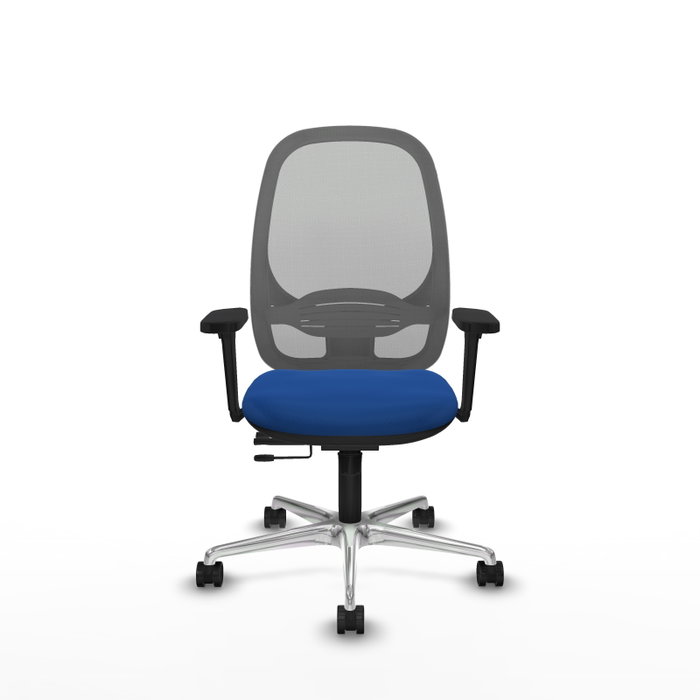 PIQUERAS Y CRESPO Silla de oficina Cilanco con mecanismo Sincro/Traslack, Azul y Gris PIQUERAS Y CRESPO Silla de oficina Cilanco con mecanismo Sincro/Traslack, Azul y Gris