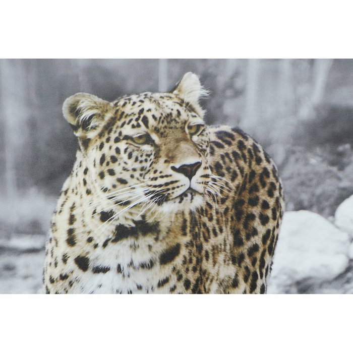 DKD Home Decor Set de 4 Cuadros de Lienzo y MDF con Diseño de Leopardo DKD Home Decor Set de 4 Cuadros de Lienzo y MDF con Diseño de Leopardo