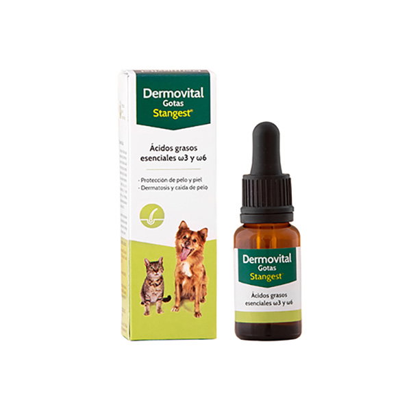 Stangest Dermovital Gotas Omega 3-6 15 ml Stangest Dermovital Gotas Omega 3-6 15 ml