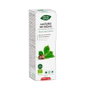 INTERSA CASTAÑO DE INDIAS Phyto-Biopole 50 ml