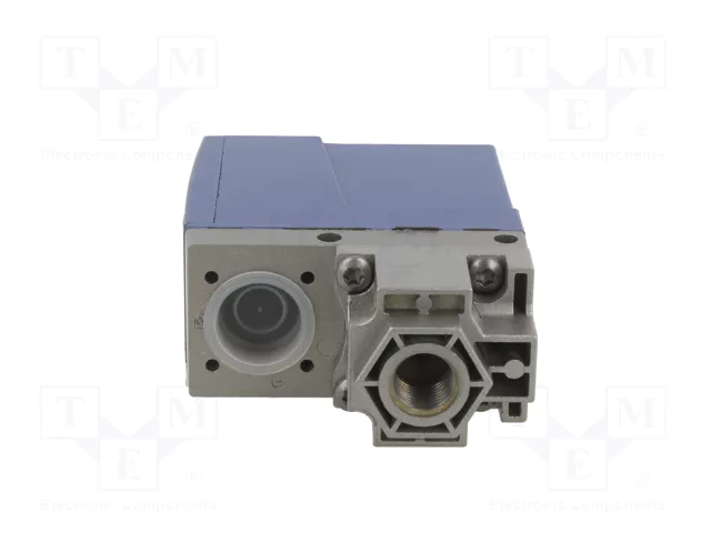 TELEMECANIQUE SENSORS Módulo de automatización presostato 0,6-10bar G1/4 pulgadas