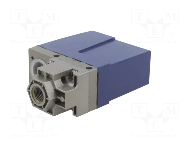 TELEMECANIQUE SENSORS Módulo de automatización presostato 0,6-10bar G1/4 pulgadas