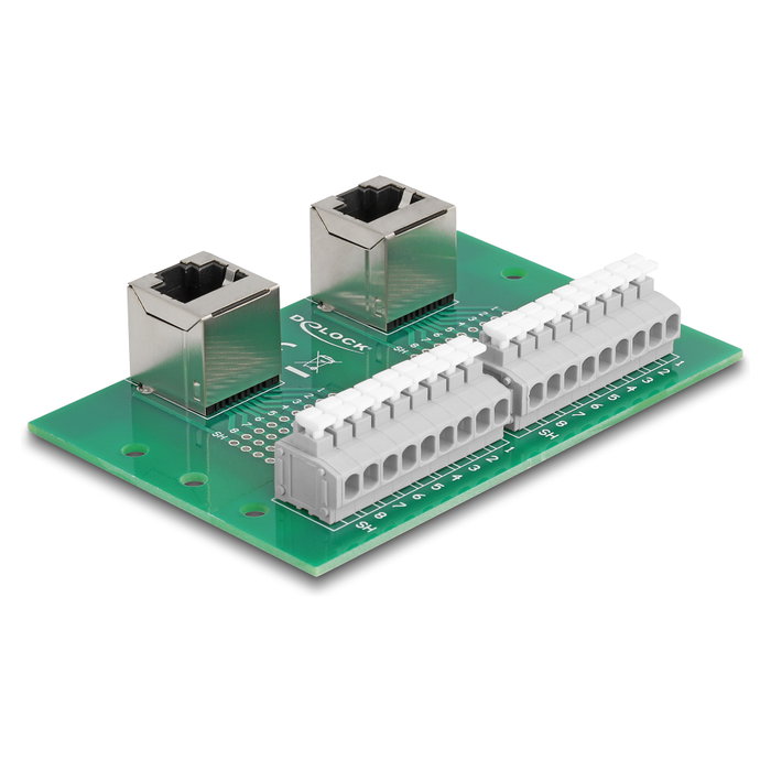 DeLOCK 66995 Adaptador 2 x RJ45 hembra a 2 x bloque de terminales en ángulo para carril DIN