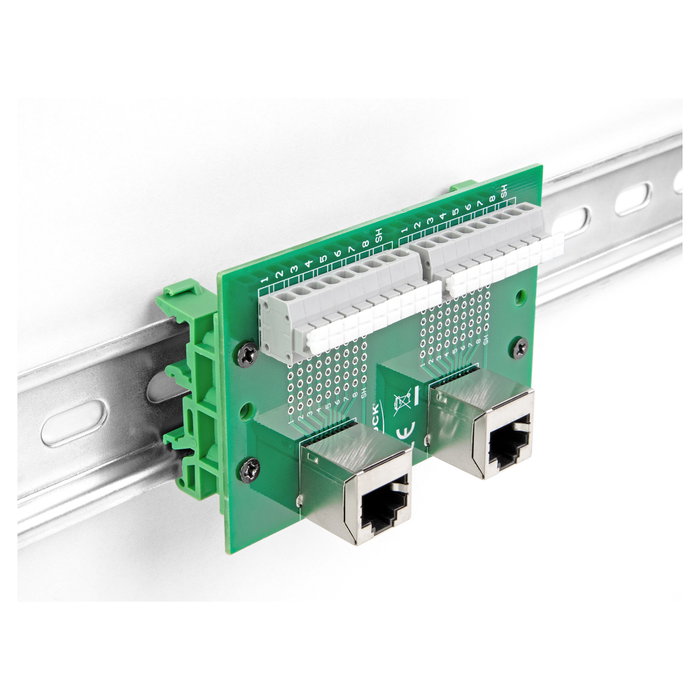 DeLOCK 66995 Adaptador 2 x RJ45 hembra a 2 x bloque de terminales en ángulo para carril DIN