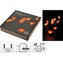 Basics Guirnalda 10 LED Efecto Llama IP44 Interior/Exterior 510 cm 220V