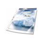 Durable Fundas A4 Premium 0,08mm 50 unidades Transparentes