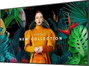 Samsung QM43C Digital Signage Display 43 pulgadas 4K UHD IPS