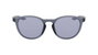 Nike EVOLUTION-DZ7360-5119010 Gafas de sol Gris