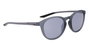 Nike EVOLUTION-DZ7360-5119010 Gafas de sol Gris