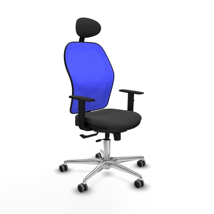 PIQUERAS Y CRESPO Silla de oficina Jorquera con mecanismo Sincro/Traslack, Azul y Gris oscuro PIQUERAS Y CRESPO Silla de oficina Jorquera con mecanismo Sincro/Traslack, Azul y Gris oscuro