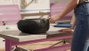 Philips TAZ2200/10 CD Sound Machine Negro