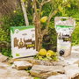 Terra Nostra Estiércol de ortiga concentrado 1,5 L