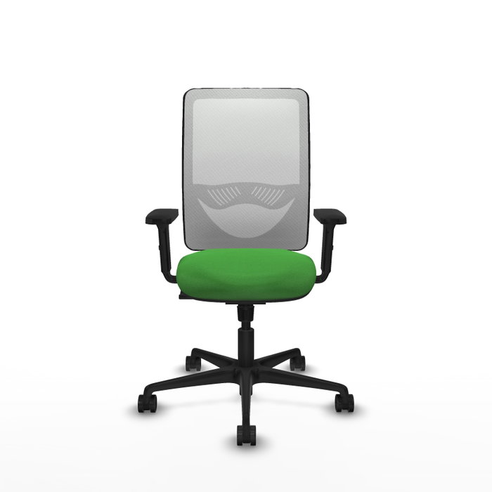 PIQUERAS Y CRESPO Silla de oficina Zulema con mecanismo Sincro, Verde y Blanco PIQUERAS Y CRESPO Silla de oficina Zulema con mecanismo Sincro, Verde y Blanco