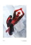 Moztros Producciones S.L. El arte en Marvel de Alex Maleev