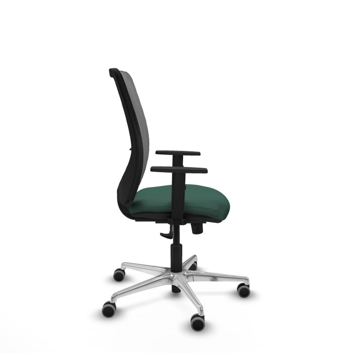 PIQUERAS Y CRESPO Silla de oficina Zulema con mecanismo Sincro, Verde botella y Gris PIQUERAS Y CRESPO Silla de oficina Zulema con mecanismo Sincro, Verde botella y Gris
