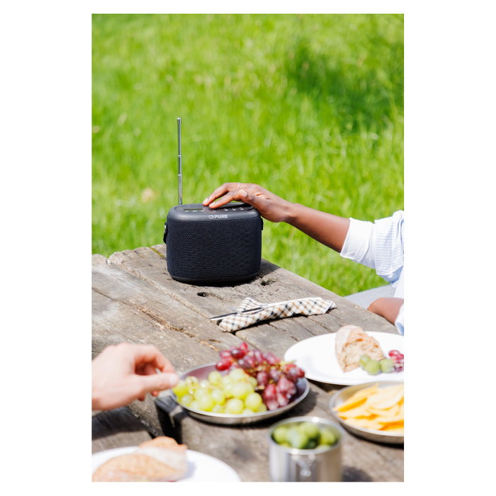 PURE Pure Woodland Altavoz para el Exterior con Radio DAB+/FM, Negro