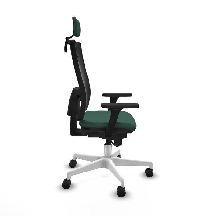 PIQUERAS Y CRESPO Silla de oficina Horna con Mecanismo Sincro, Verde botella y Negro PIQUERAS Y CRESPO Silla de oficina Horna con Mecanismo Sincro, Verde botella y Negro