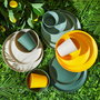 Home Deco Factory Plato Diámetro 25 cm Polipropileno Colección Bain De Soleil - Colores surtidos (Verde, Beige, Amarillo)