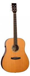 Guitarra Acústica Tanglewood Serie New Rosewood Smart Dreadnought Electrificada