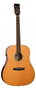 Guitarra Acústica Tanglewood Serie New Rosewood Smart Dreadnought Electrificada
