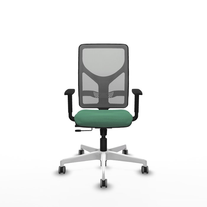 PIQUERAS Y CRESPO Silla de oficina Motilla con mecanismo Sincro/Traslack, Verde esmeralda y Gris PIQUERAS Y CRESPO Silla de oficina Motilla con mecanismo Sincro/Traslack, Verde esmeralda y Gris