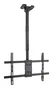 TooQ Soporte de Techo LPCE1186TSLI-B para Pantallas 43-86 pulgadas, Negro