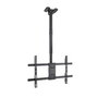 TooQ Soporte de Techo LPCE1186TSLI-B para Pantallas 43-86 pulgadas, Negro