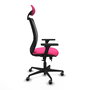 PIQUERAS Y CRESPO Silla de oficina Zulema Rosa y Negro con Mecanismo Sincro/Traslack