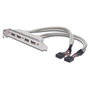 Digitus Cable de soporte de ranura USB 4x Tipo A a 2x 10 pines IDC 0.25 m