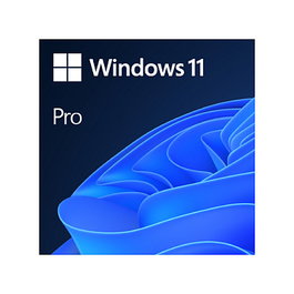 Microsoft Windows 11 Pro 64-bit (UK) - Licencia OEM 1 usuario, Inglés - DVD