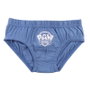 Pack de Calzoncillos The Paw Patrol Multicolor