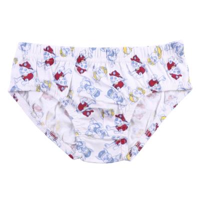 Pack de Calzoncillos The Paw Patrol Multicolor