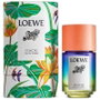 Loewe Paulas Ibiza Eclectic Eau de Toilette