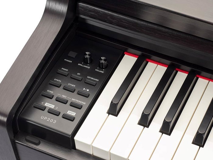 Piano de Escenario Medeli 88 Teclas Up203/Bk