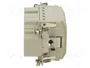 LAPP Conector industrial EPIC® H-BE 010 MQL tipo HDC