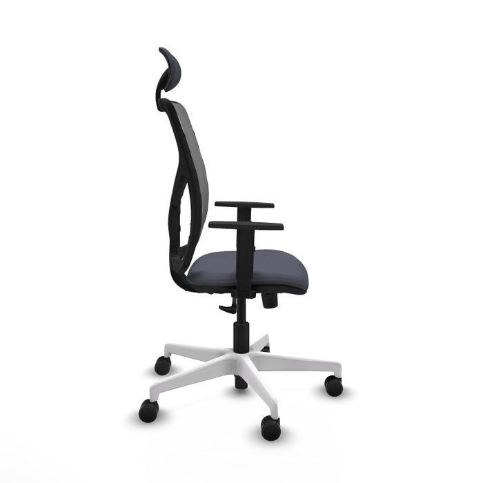 PIQUERAS Y CRESPO Silla de oficina Motilla con mecanismo Sincro, Gris PIQUERAS Y CRESPO Silla de oficina Motilla con mecanismo Sincro, Gris