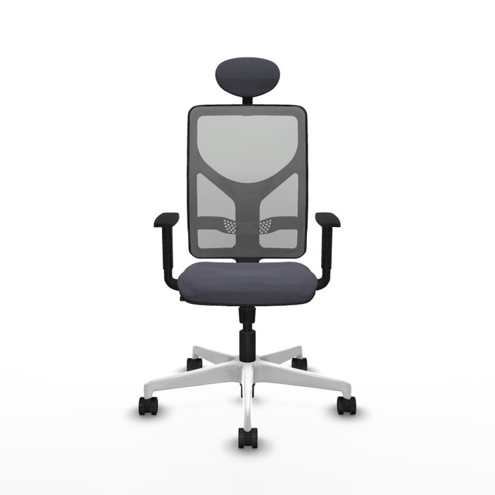 PIQUERAS Y CRESPO Silla de oficina Motilla con mecanismo Sincro, Gris PIQUERAS Y CRESPO Silla de oficina Motilla con mecanismo Sincro, Gris